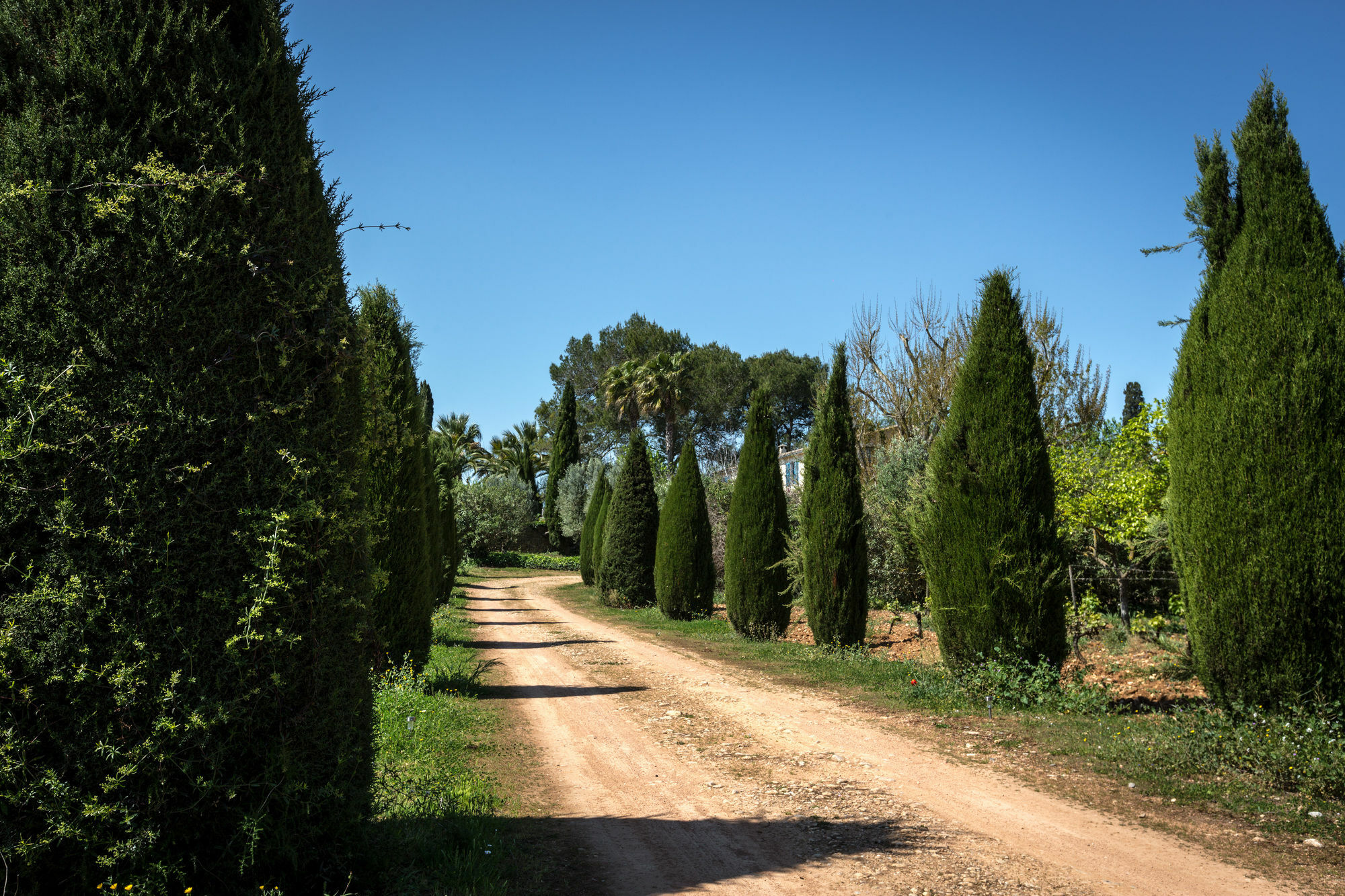 Finca Son Miranda Sencelles Dış mekan fotoğraf