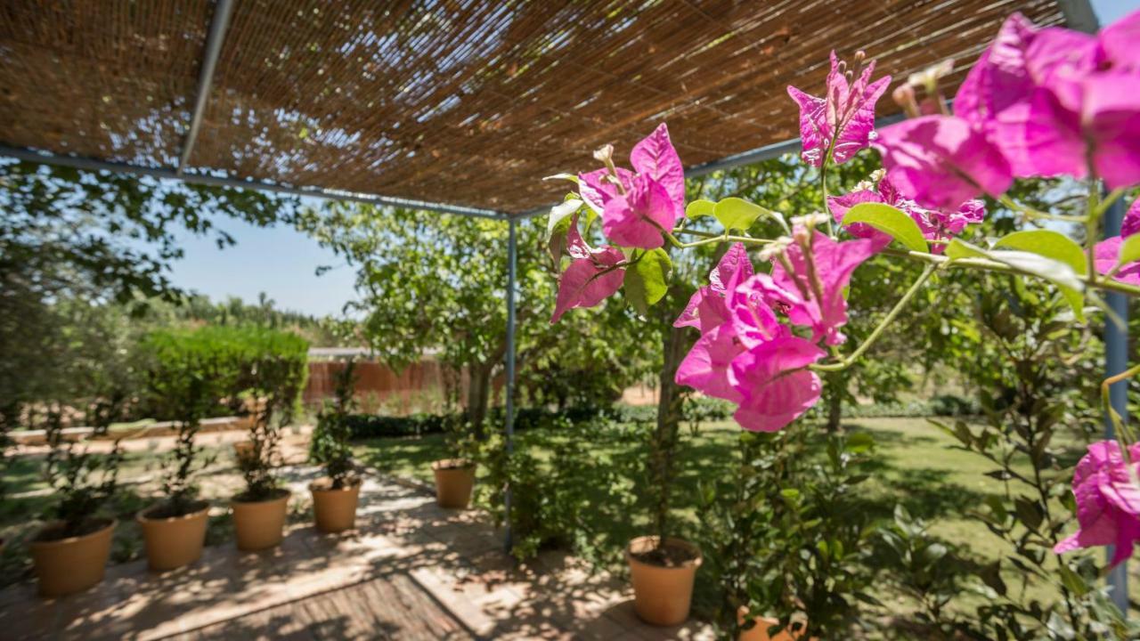 Finca Son Miranda Sencelles Dış mekan fotoğraf