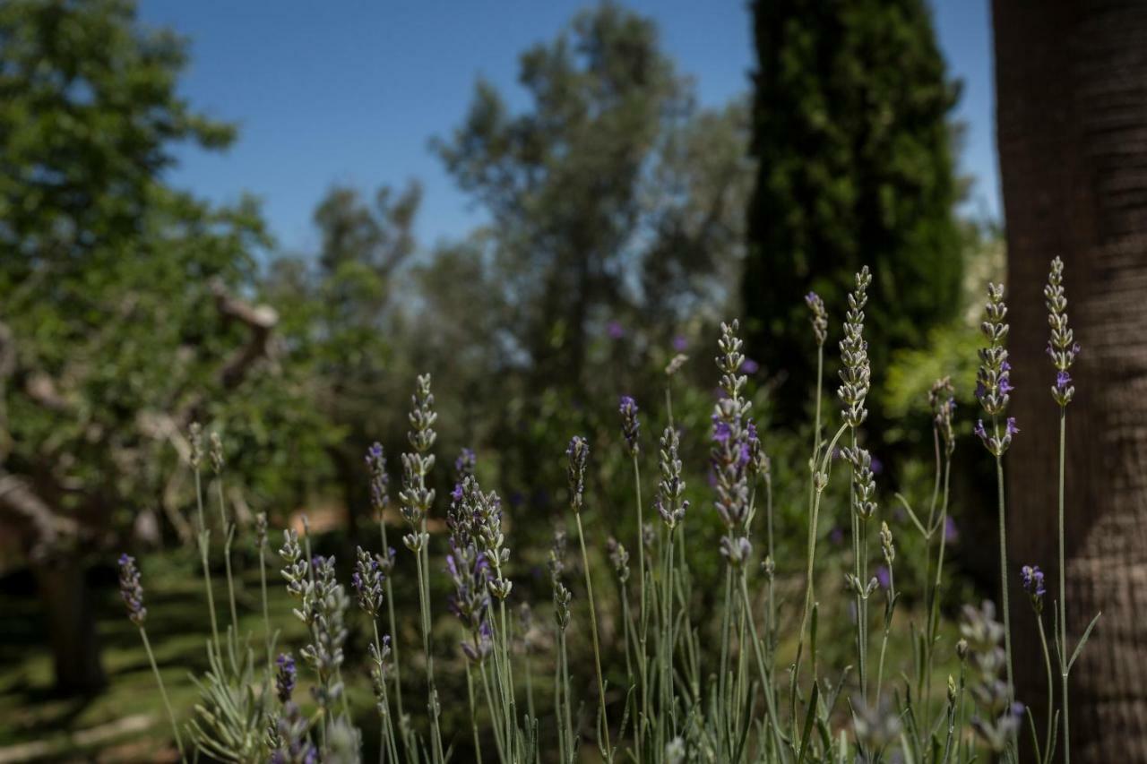 Finca Son Miranda Sencelles Dış mekan fotoğraf